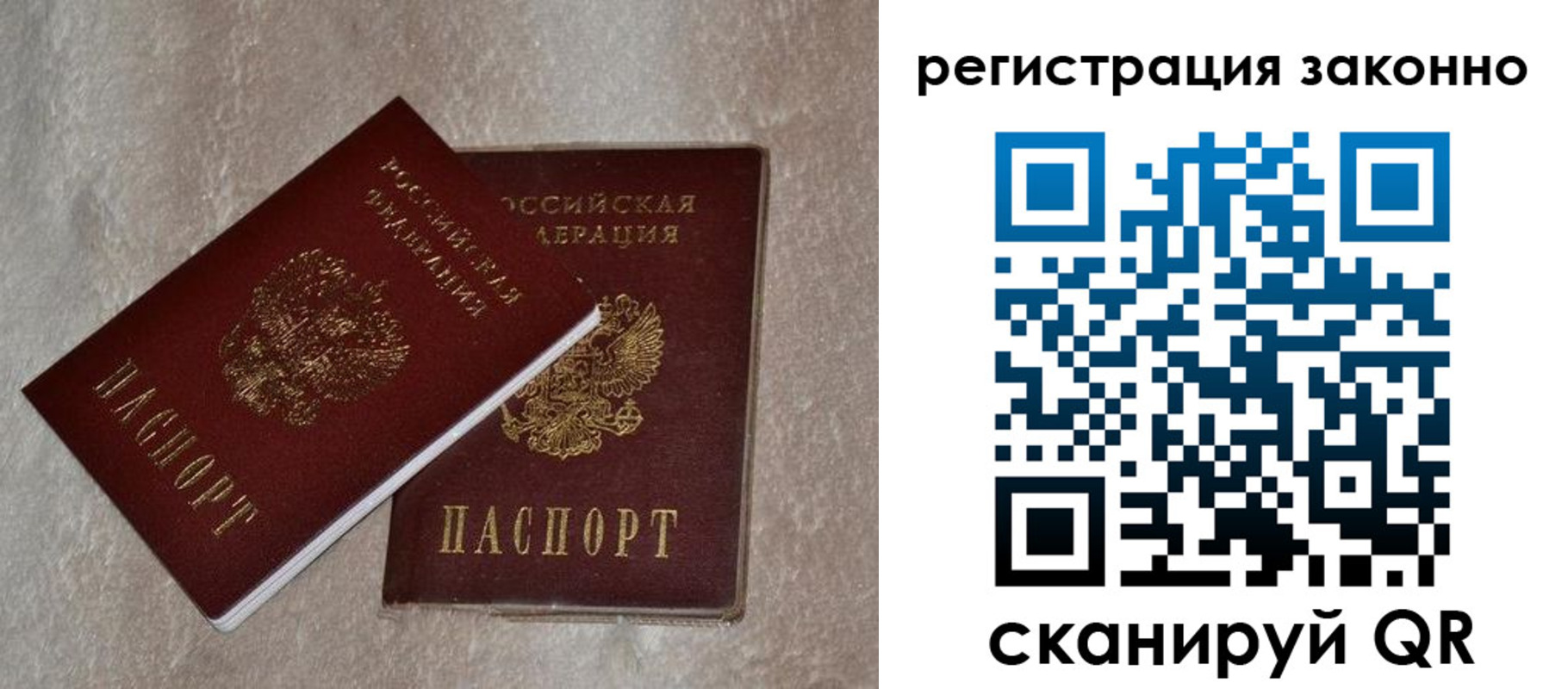 прописка законно в Болотном